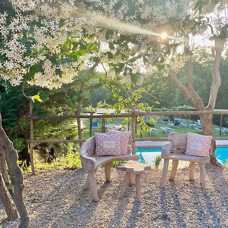 B&B Alloro Capannori Exteriör bild