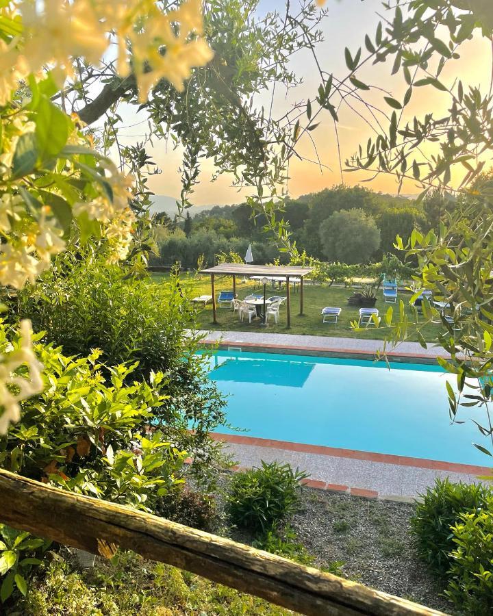 B&B Alloro Capannori Exteriör bild