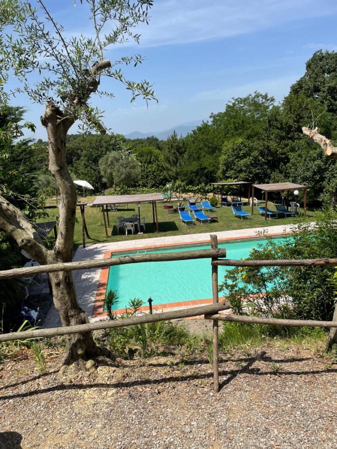 B&B Alloro Capannori Exteriör bild