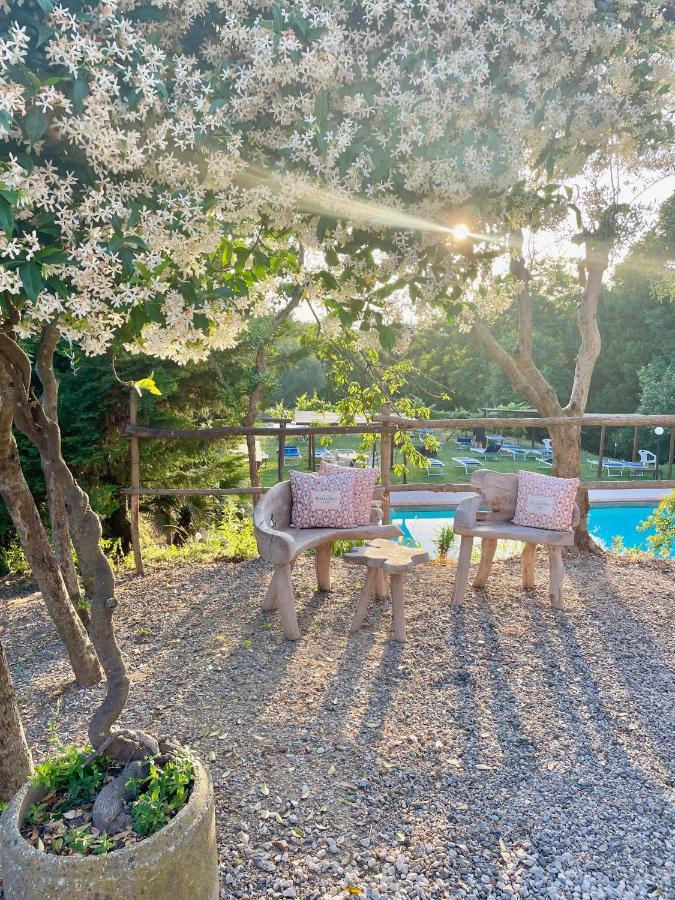 B&B Alloro Capannori Exteriör bild
