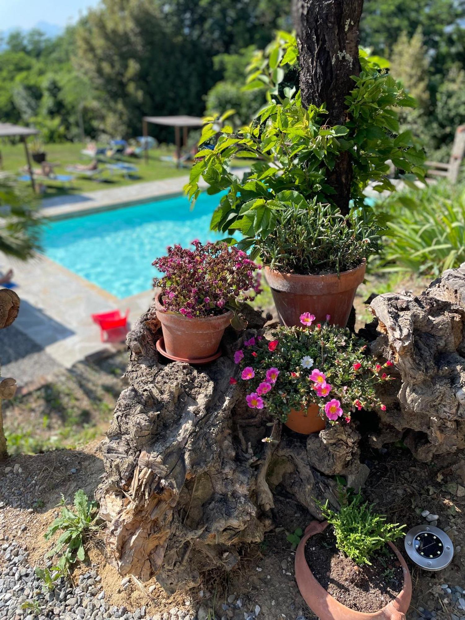 B&B Alloro Capannori Exteriör bild